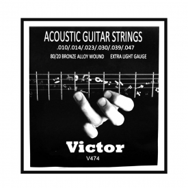 Gümüş Victor Akustik Gitar Teli