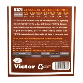 Gümüş Victor Akustik Gitar Teli